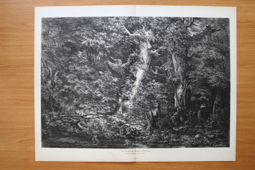 Wood Engraving Neuenburger Forest in Oldenburg 1884 after drawing by F Lindner Art Artist